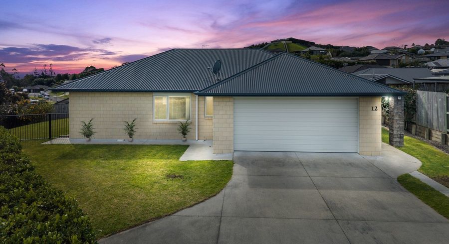  at 12 Bryan Gallagher Place, Welcome Bay, Tauranga, Bay Of Plenty