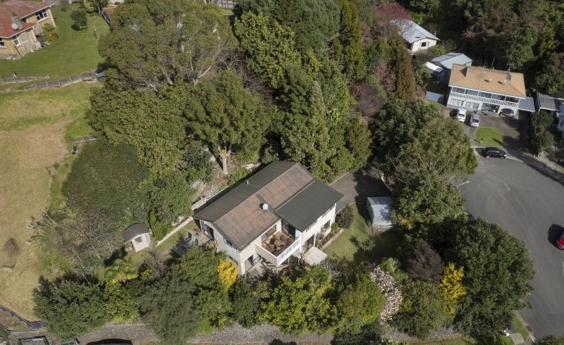 at 10 Neil Place, Gate Pa, Tauranga