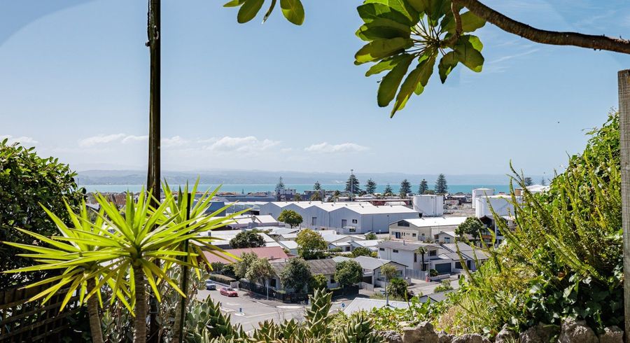  at 156 Battery Road, Hospital Hill, Napier, Hawke's Bay