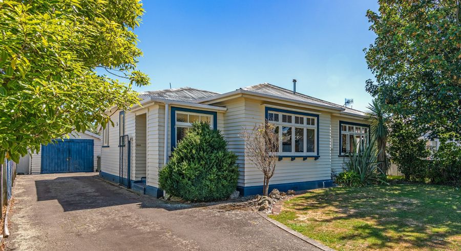  at 16 Burns Avenue, Takaro, Palmerston North