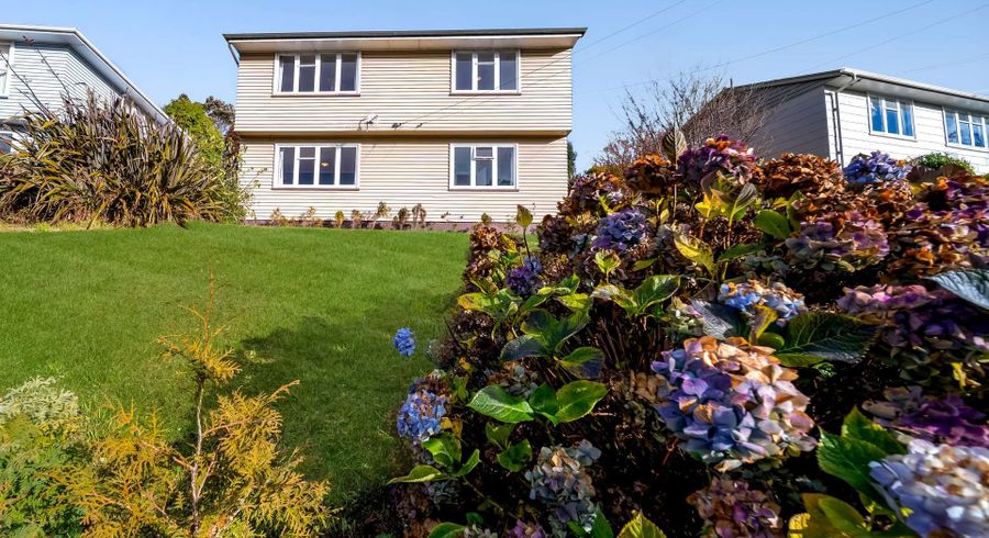 at 48 Cockerell Street, Brockville, Dunedin, Otago