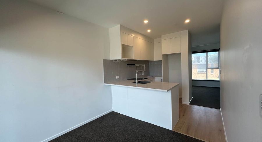  at 117 Ngae Place, Mangere East, Manukau City, Auckland