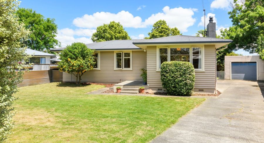  at 26 Snowdon Avenue, Terrace End, Palmerston North
