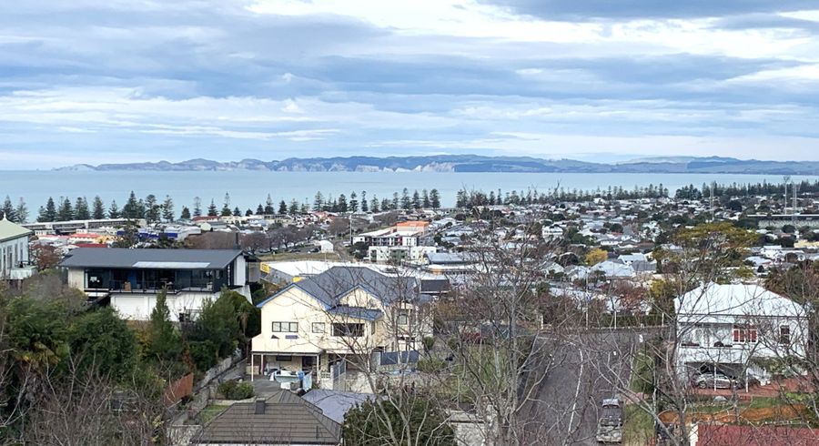 at 22 Colenso Avenue, Hospital Hill, Napier, Hawke's Bay