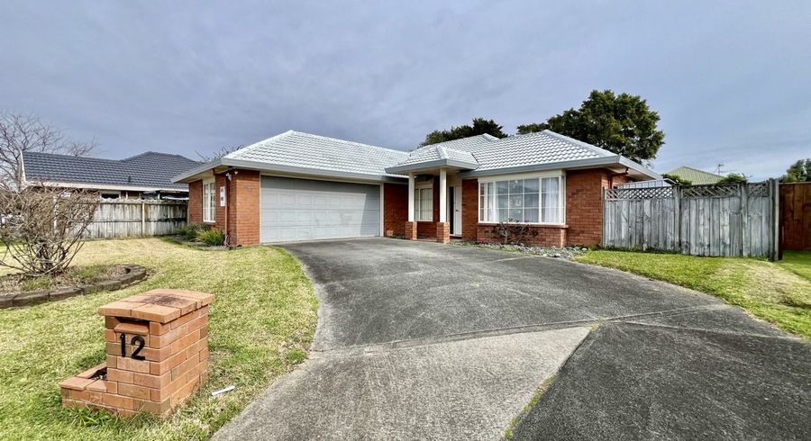  at 12 Sheldon Place, Burswood, Manukau City, Auckland