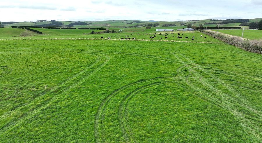  at 289 Woodslea Downs Road, Wyndham, Southland, Southland