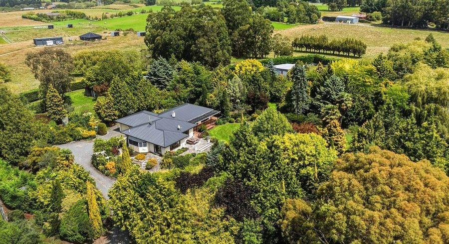 at 125 Forestry Road, Ashley, Waimakariri, Canterbury