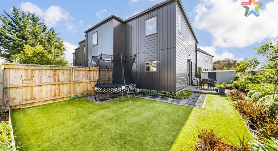  at 24 Ron Deal way, Epuni, Lower Hutt