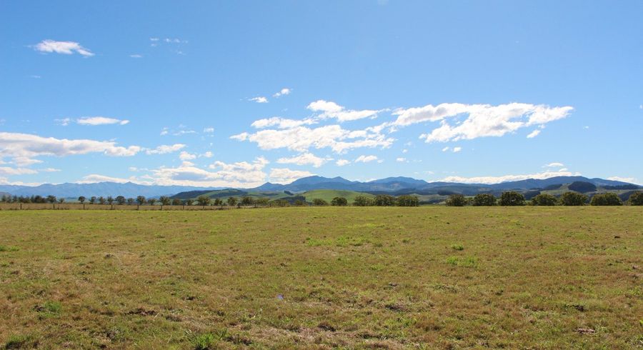  at Goulds Road, Pleasant Point, Timaru, Canterbury