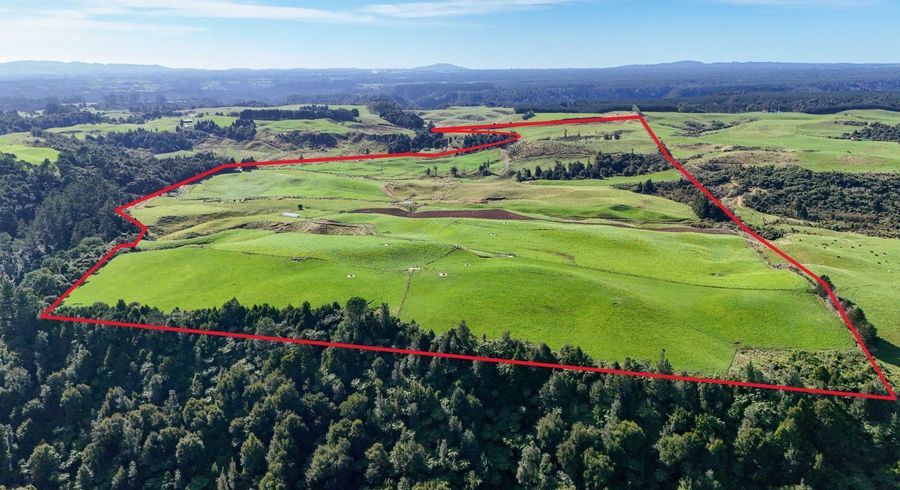  at 530 Soldiers Road, Lower Kaimai, Western Bay Of Plenty, Bay Of Plenty