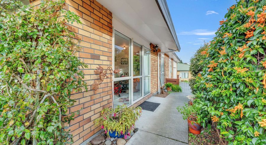  at 15 Baden Street,, Otumoetai, Tauranga, Bay Of Plenty