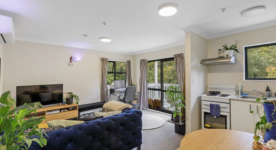  at 24 Devon St, Aro Valley, Wellington