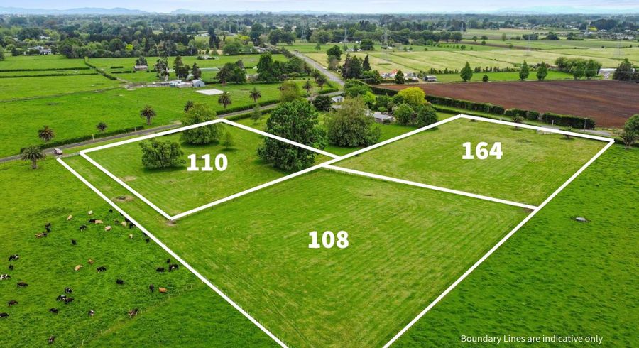  at 164 Lee Martin Road, Tamahere, Waikato, Waikato