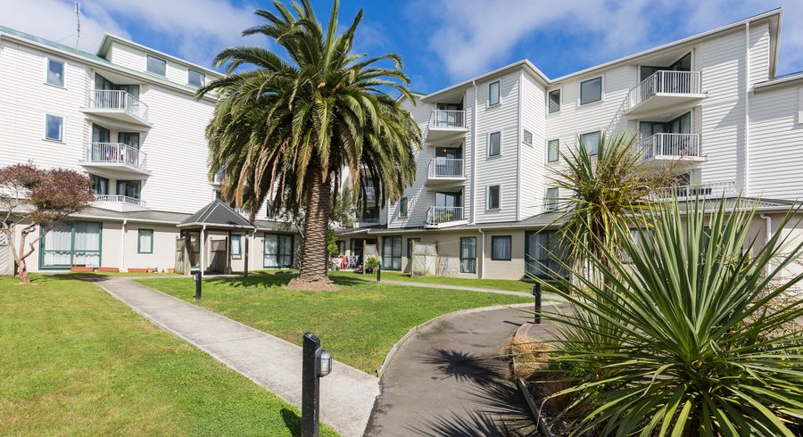  at B8/13 Palm Grove, Berhampore, Wellington