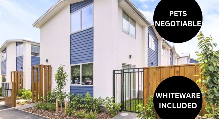  at 8/257 Armagh Street, City Centre, Christchurch City, Canterbury