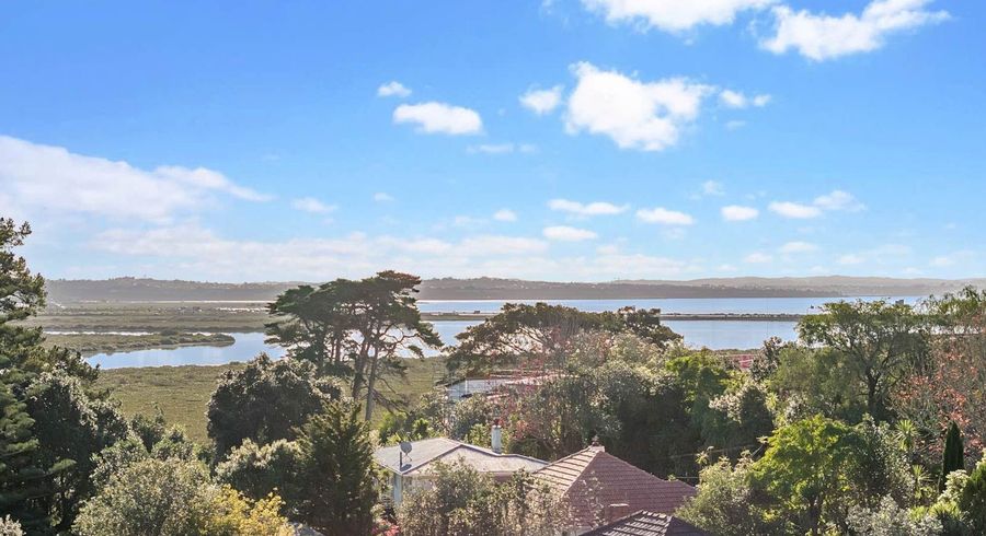 at Lts 17,21& Fairlands Avenue, Waterview, Auckland City, Auckland