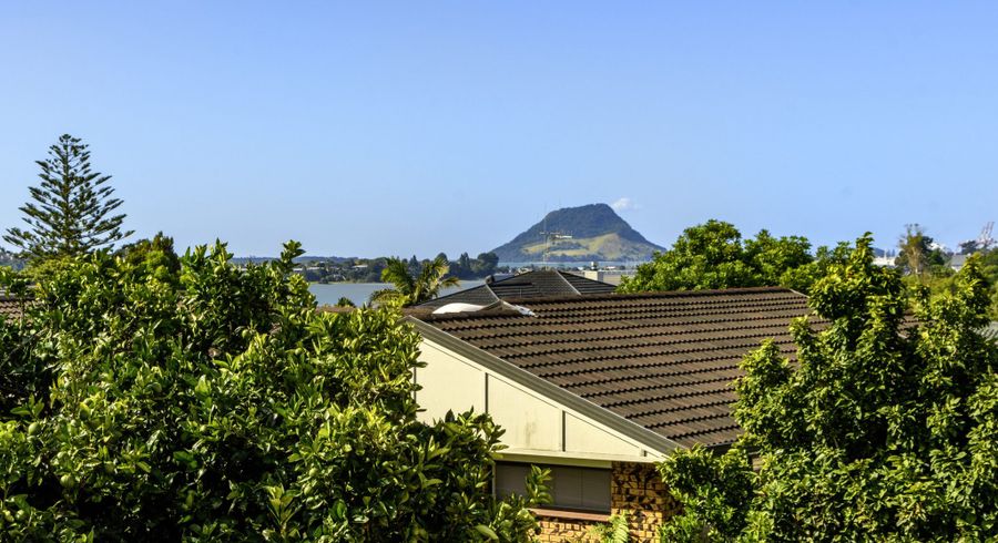  at 131C Edgecumbe Road, Tauranga South, Tauranga