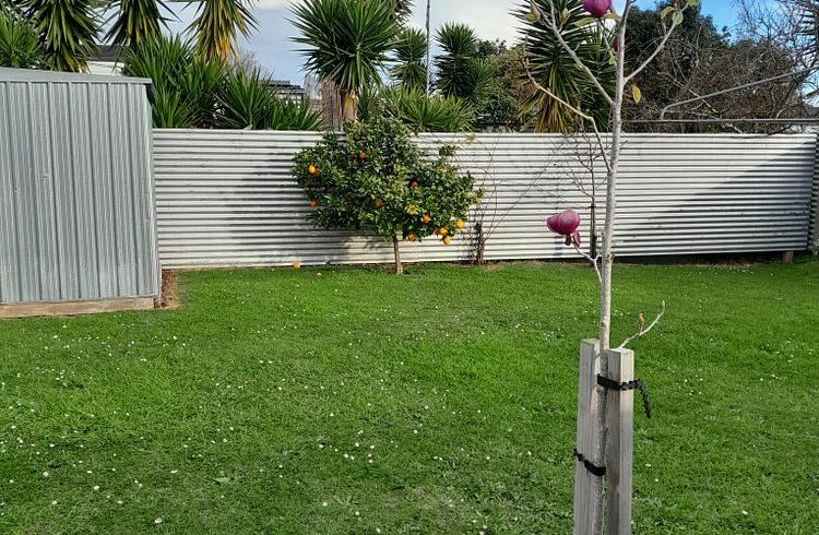 at Whataupoko, Gisborne, Gisborne