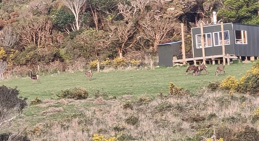  at 350 Fryer Road, Orepuki, Southland, Southland