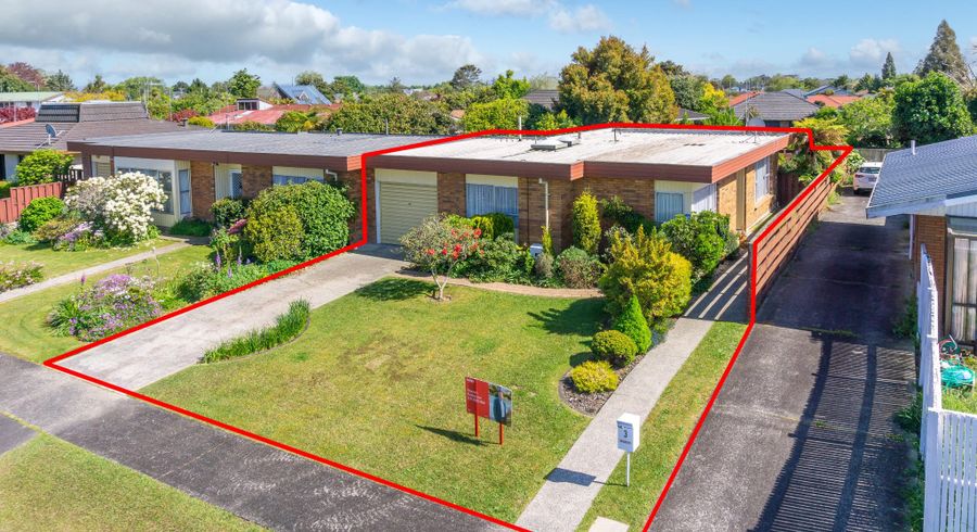  at 3 Sandringham Road, Enderley, Hamilton