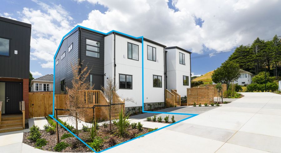  at 16C Roseman Avenue, Mount Roskill, Auckland City, Auckland