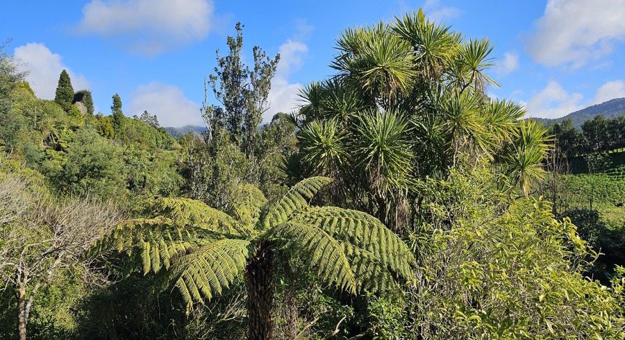  at 17 Timon Drive, Katikati, Western Bay Of Plenty, Bay Of Plenty