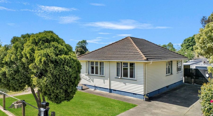  at 20 Essex Crescent, Whakatu, Hastings