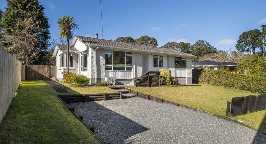  at 24 Gallagher Street, Springfield, Rotorua, Bay Of Plenty