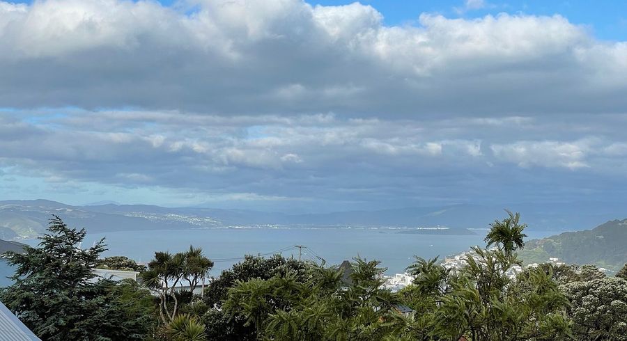  at 74 Mitchell Street, Brooklyn, Wellington, Wellington