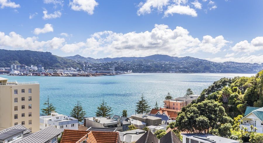  at 1 and 2/1 Wilkinson Street, Oriental Bay, Wellington, Wellington