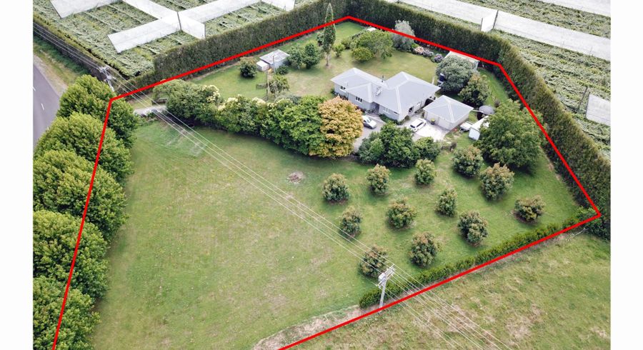  at 651 Rangiuru Road, Rangiuru, Te Puke