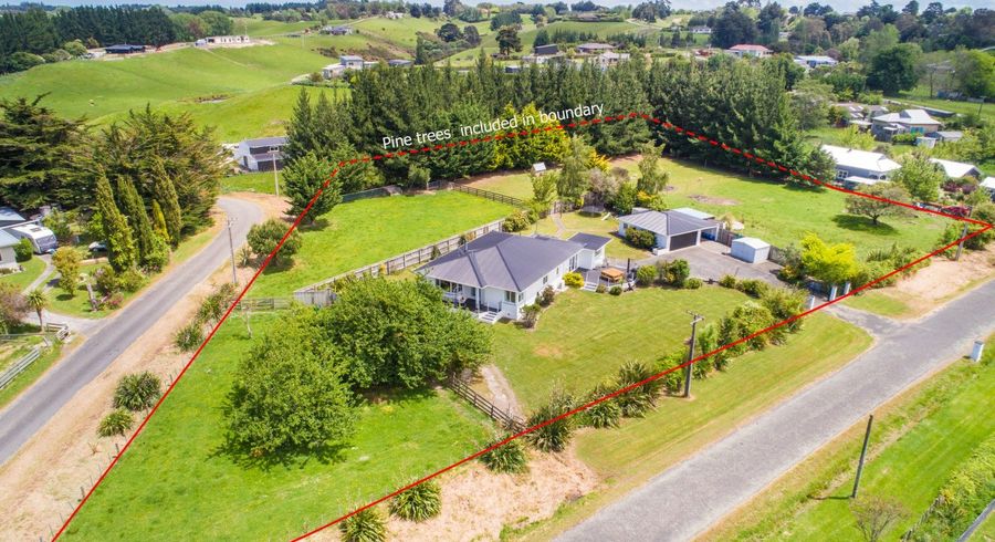  at 12 Clive Street, Feilding