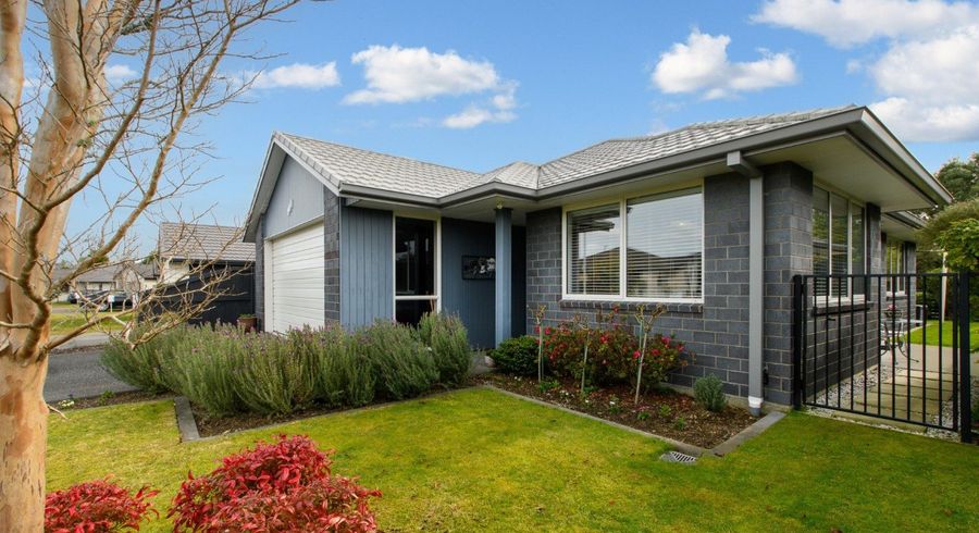  at 101 Landing Drive, Pyes Pa, Tauranga, Bay Of Plenty
