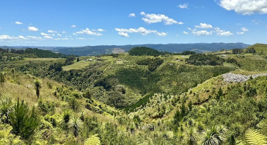  at 103 Dill Road, Kaipara Flats, Rodney, Auckland