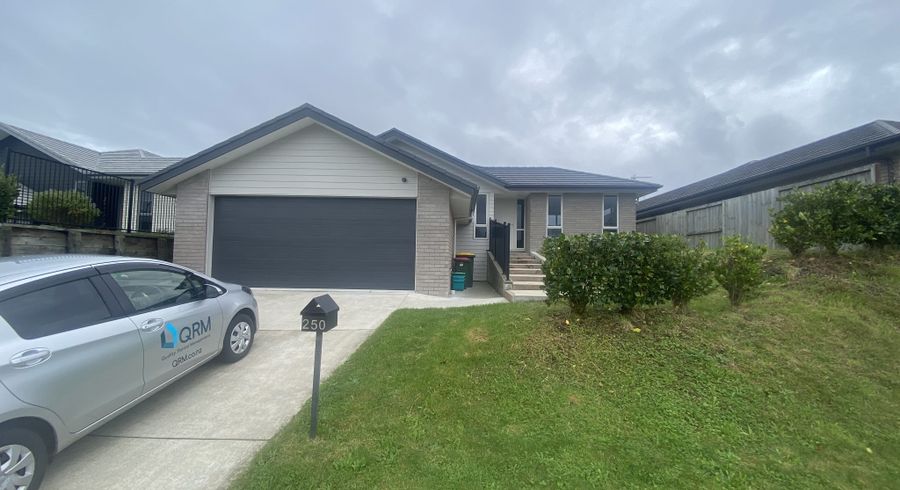  at 250 Dixon, Fitzroy, Hamilton, Waikato