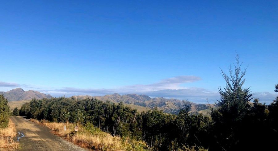  at 91 Tinline Terrace, Lyford, Hurunui, Canterbury