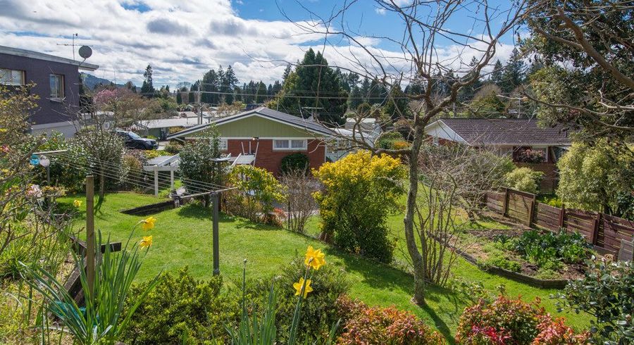  at 120 Springfield Road, Springfield, Rotorua