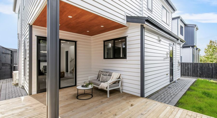  at 17 Mary Dreaver Street, New Windsor, Auckland City, Auckland