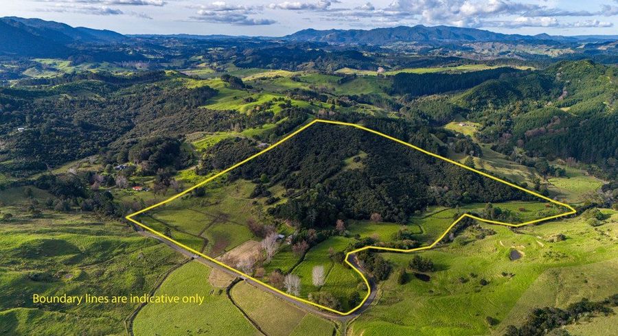  at 113 Puhata Road, Herekino, Far North, Northland