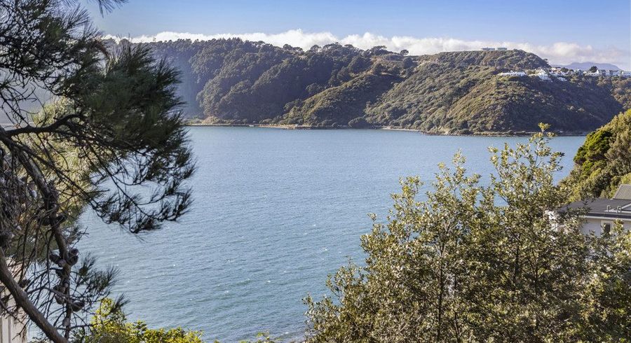  at 2/12 Te Anau Avenue, Hataitai, Wellington, Wellington