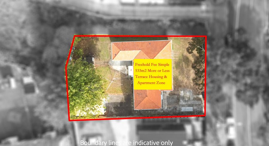  at 131 Hendon Avenue, Mount Albert, Auckland City, Auckland
