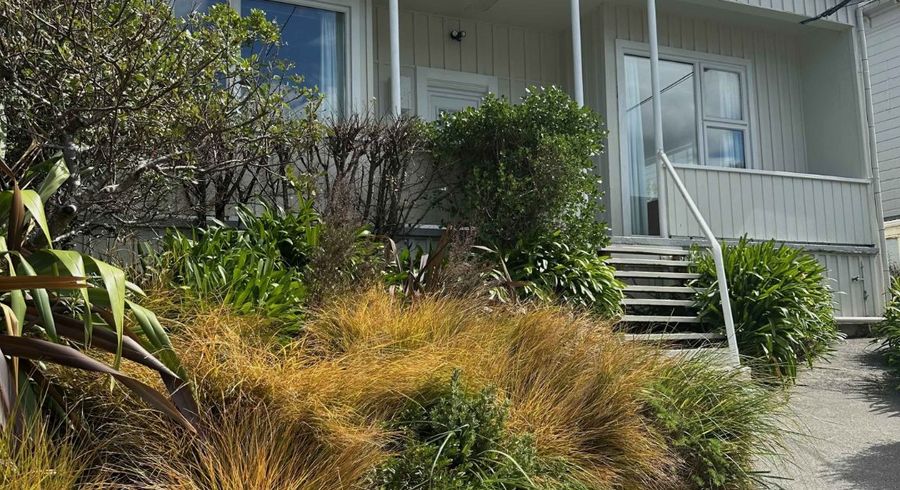  at 16 Florence Street, Newtown, Wellington, Wellington