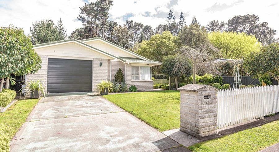  at 41 Downes Avenue, Springvale, Whanganui