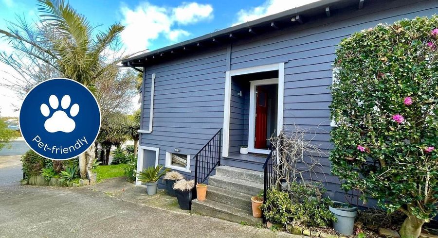  at 23 Sefton Avenue, Grey Lynn, Auckland City, Auckland