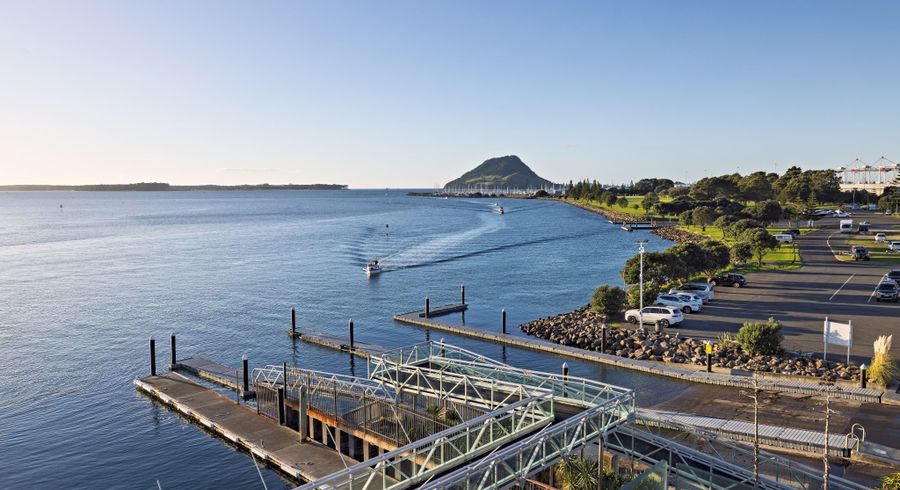  at 303/50B Cross Road (The Nautilus), City Centre, Tauranga, Bay Of Plenty