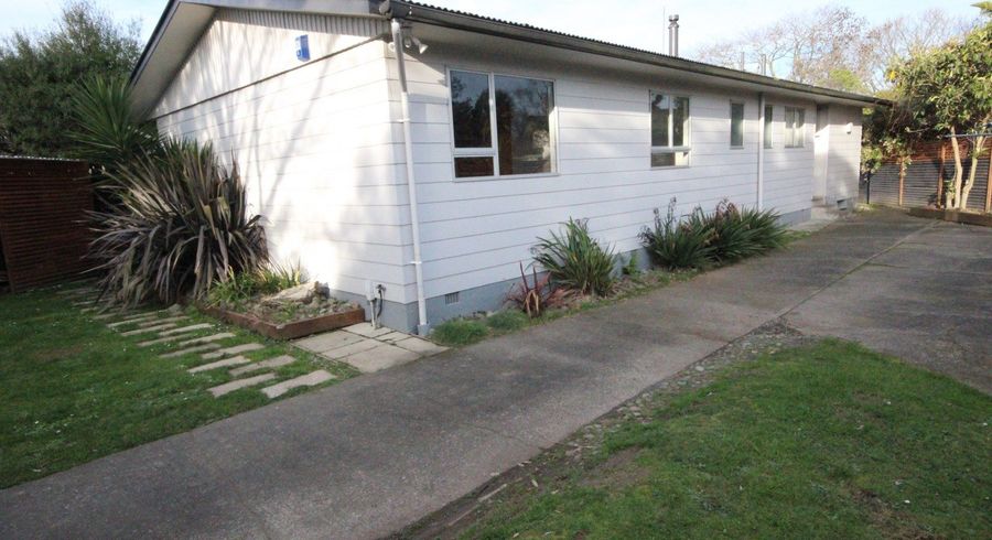  at 40 Leicester Street, Terrace End, Palmerston North, Manawatu / Whanganui