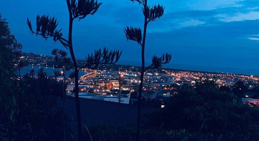  at 47 Russell Street, City Centre, Dunedin, Otago