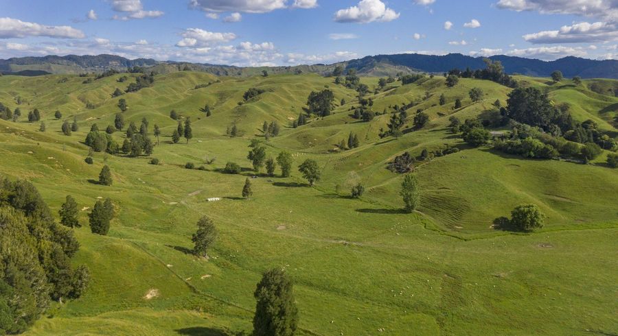  at 510 Barclay Road, Te Kuiti, Waitomo, Waikato