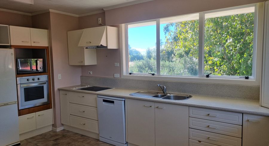  at 17 McDowell Street, Springfield, Rotorua, Bay Of Plenty