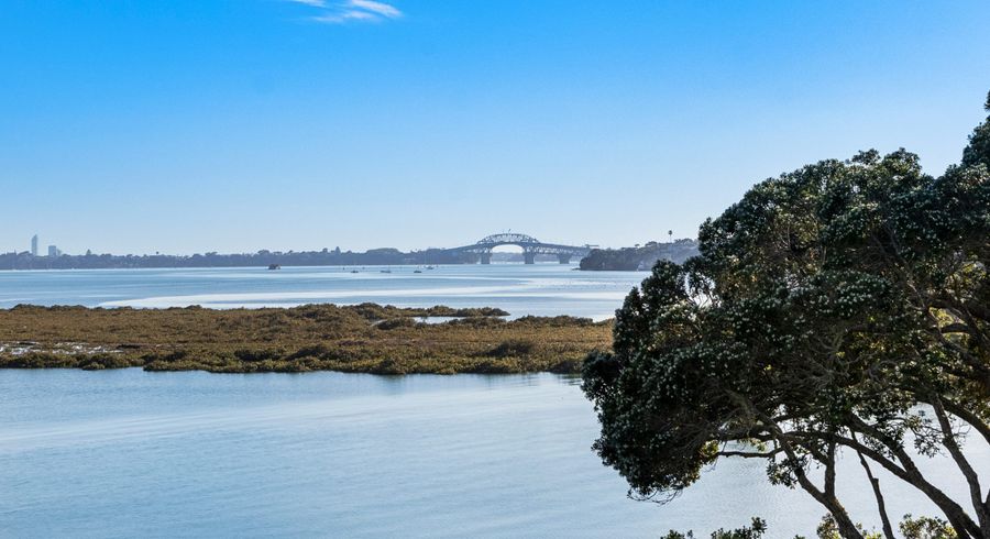  at 15 Lynch Street, Point Chevalier, Auckland City, Auckland